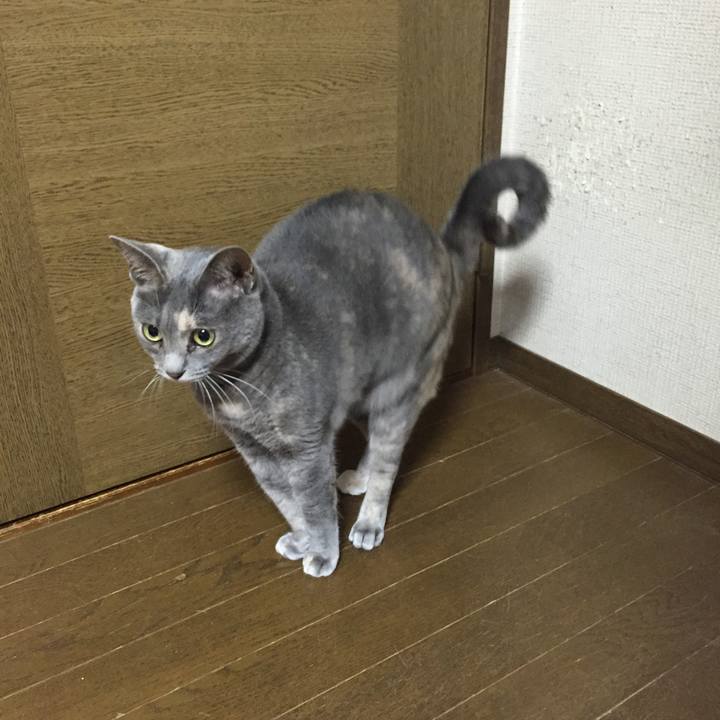 2879a774 3a96 469a b77d 35a5453eedab