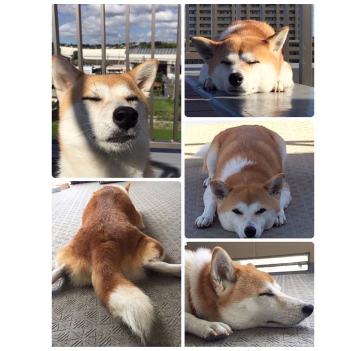 2879be38 eeb9 4f46 8845 5f6a824e4740