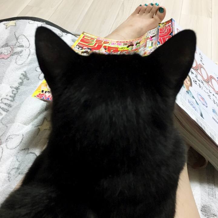 287a19c8 2c52 4570 8470 390d21d9aa3b