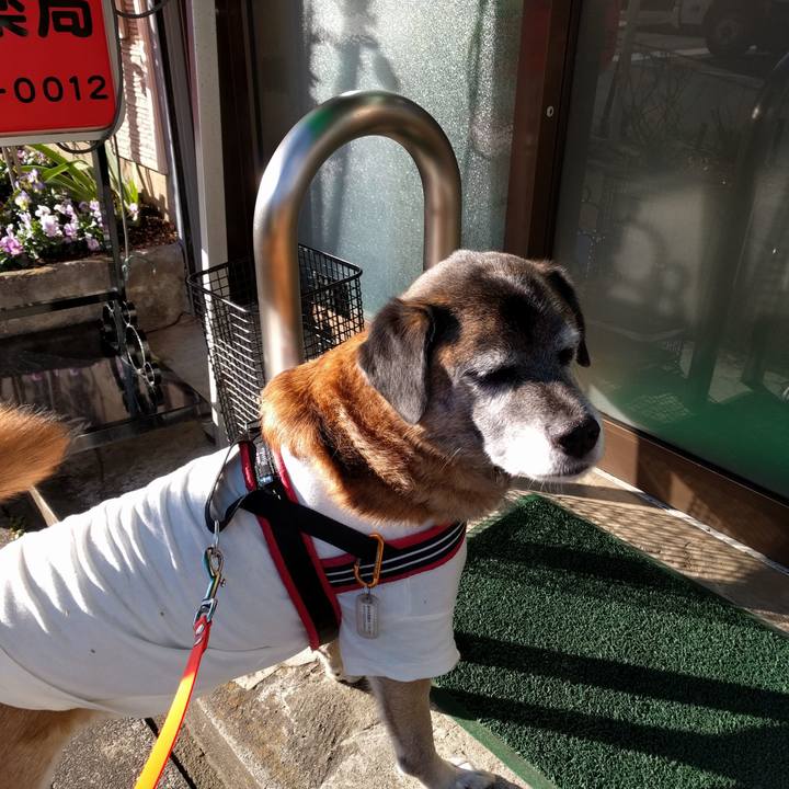 287a77bd dbe9 4539 bfdf fa0c8a24ee81