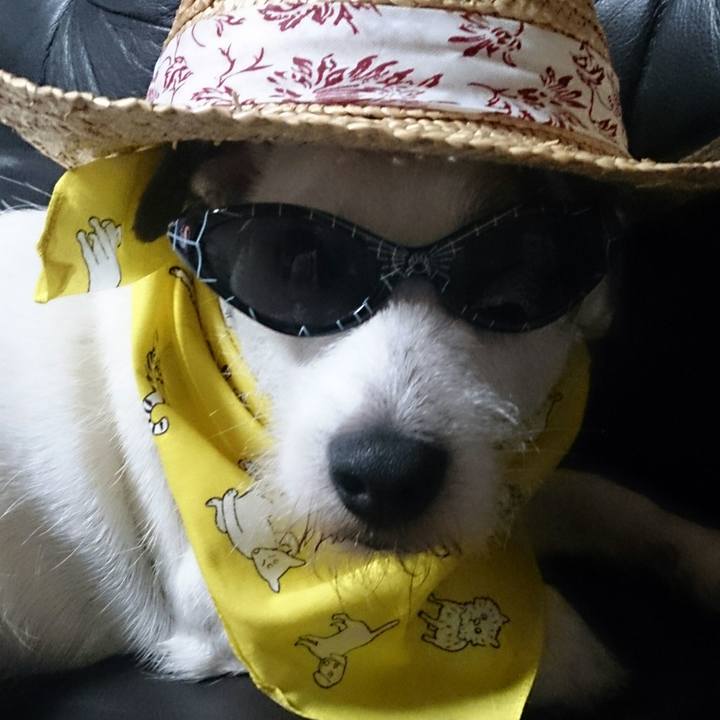 287ac6e5 b985 4e55 837e 832d232e1e88