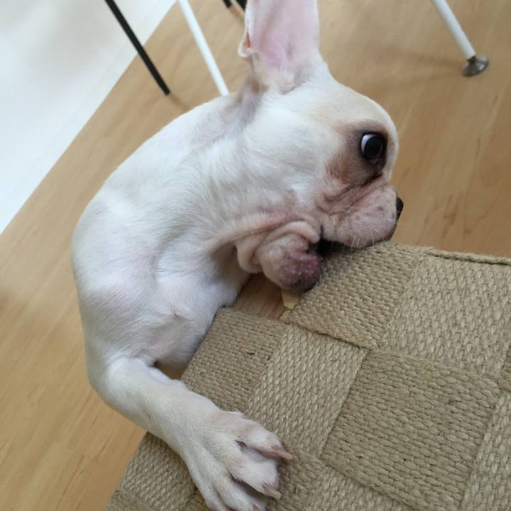 287b0ea2 e788 4593 a8af ce5efd2aa05e