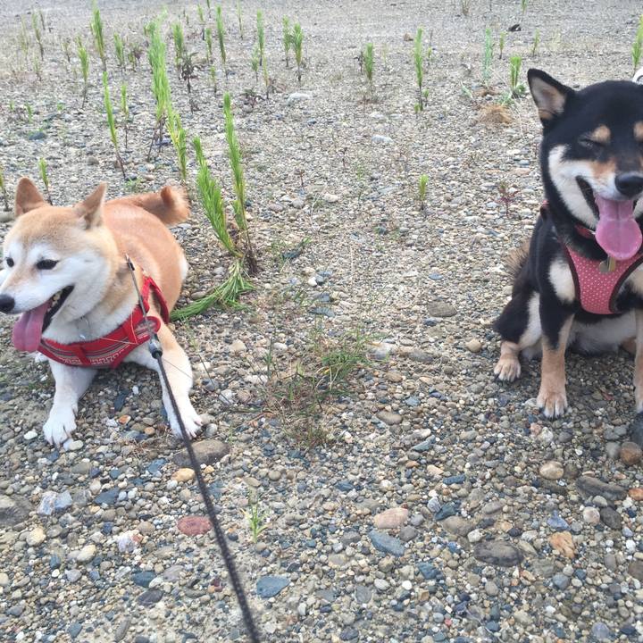 287c150f bfc9 4455 b99c 4a1d3acd6b87