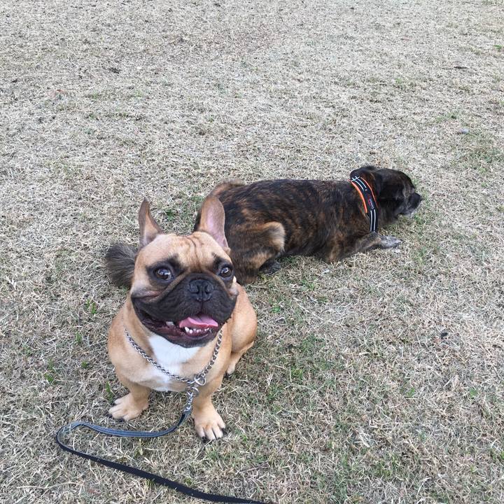 287c32fd 7ce9 40dc b3c6 1b0bc5e0d6a3