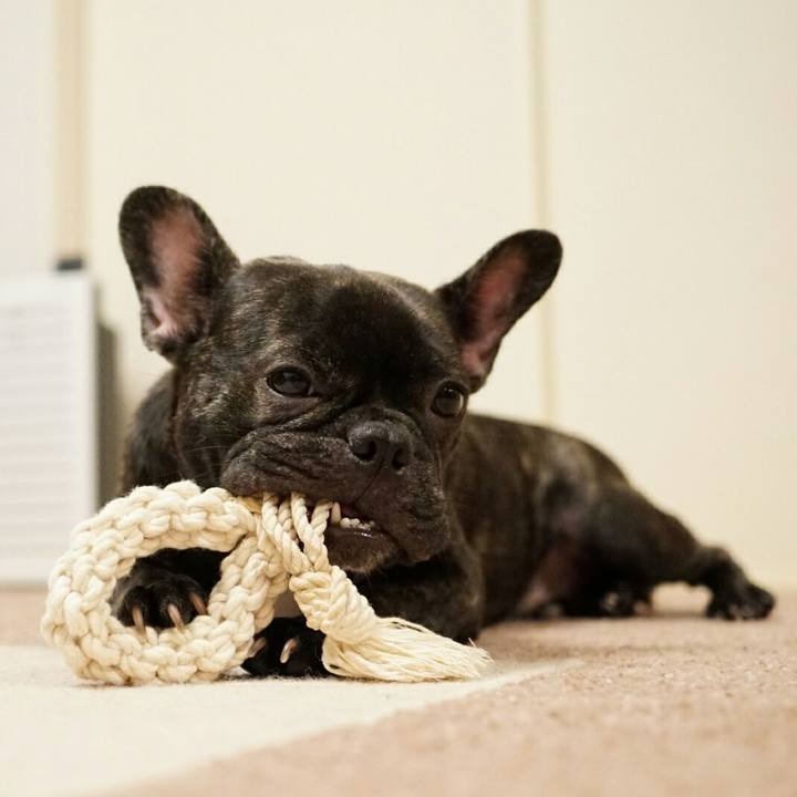 287d0db4 1e84 4217 bc7e 7857a6e94b81