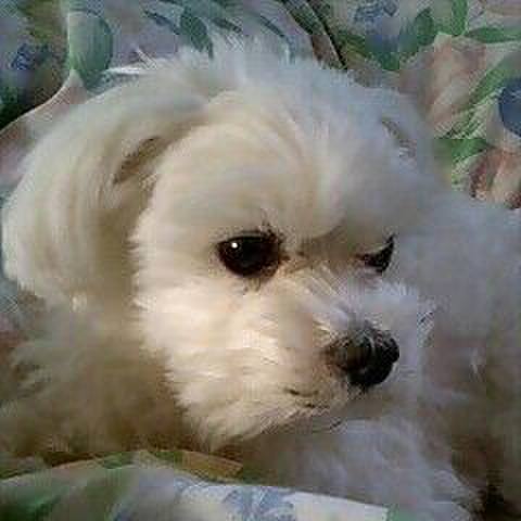 287e0ba8 65ca 4087 853e 6a046bfc3424