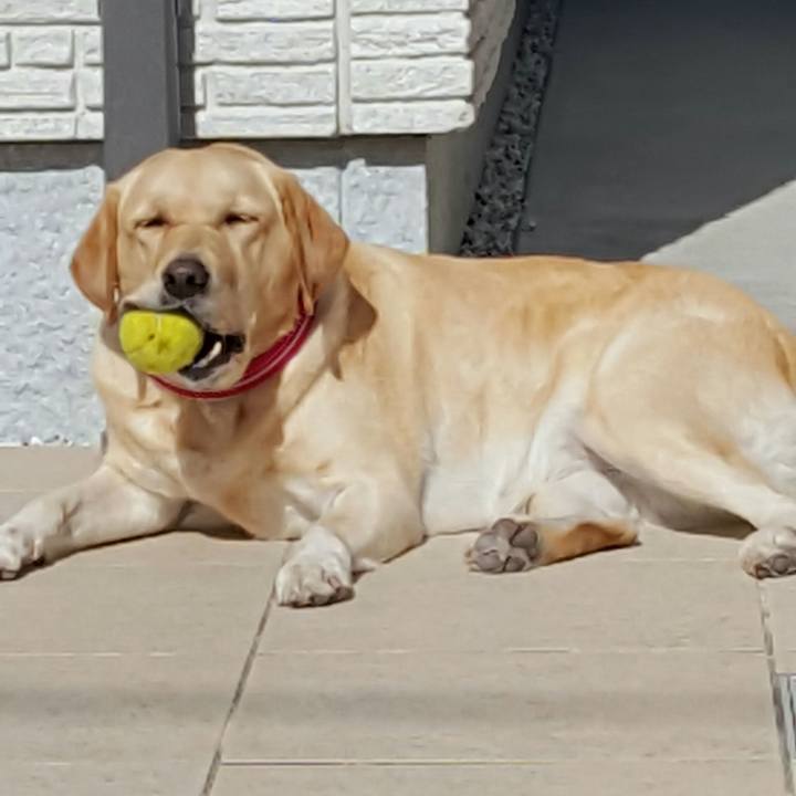 287e51ab 018d 4b52 b582 8ccaa7c070d8