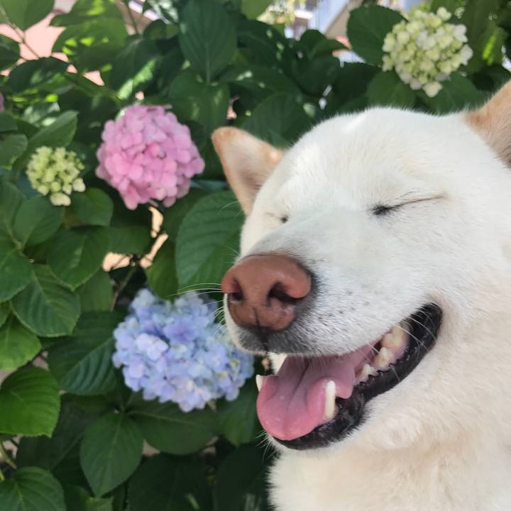 287e75c8 5b88 4226 897a 84c6dbbe578b