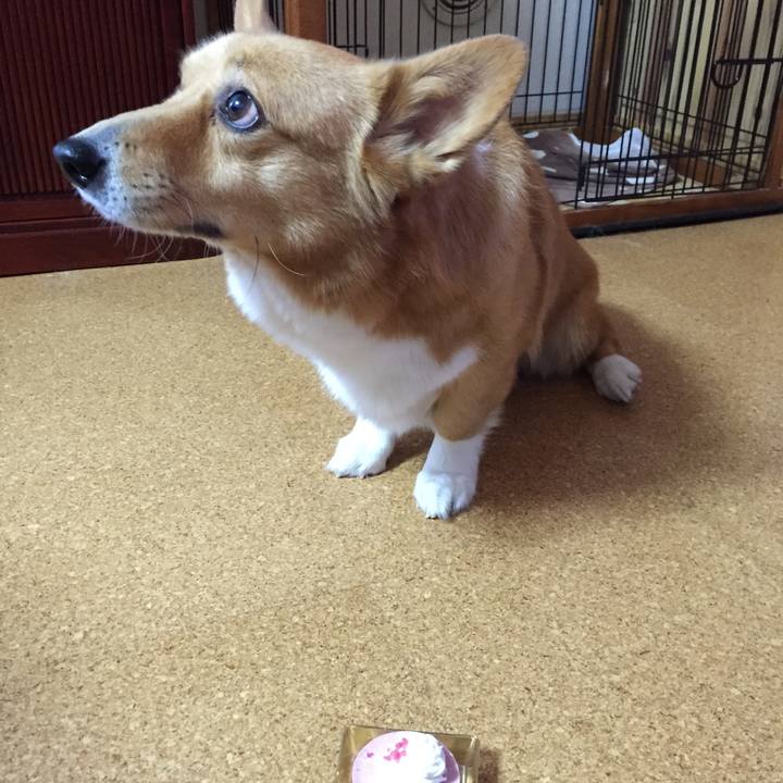 287f14b2 b20e 4cfd aa37 3a3cda3edf84