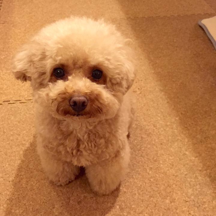 287fda2a 6dc2 4645 8407 651056f628db