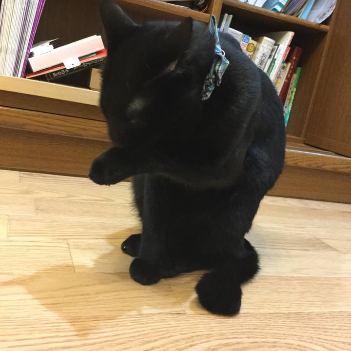 2880664b e24d 4b52 bf06 8ea5c0a943df