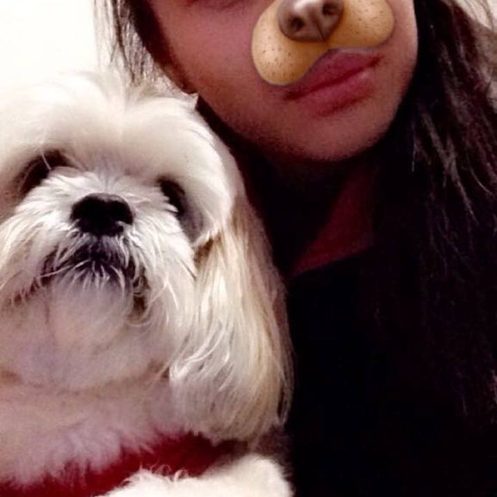 2880fbc2 2e4c 4800 bd1e f01d98cb0493