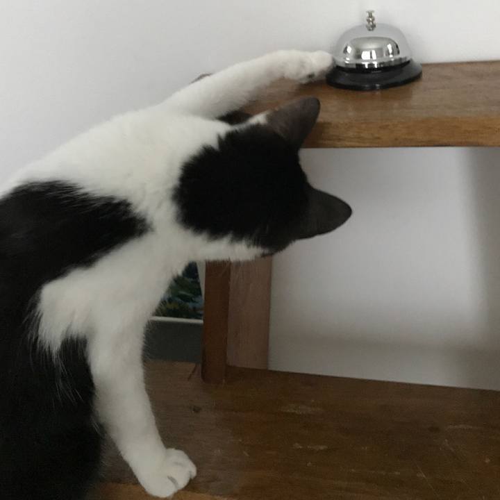 28811733 9ba7 4396 9ac0 5fe9b89d97fb