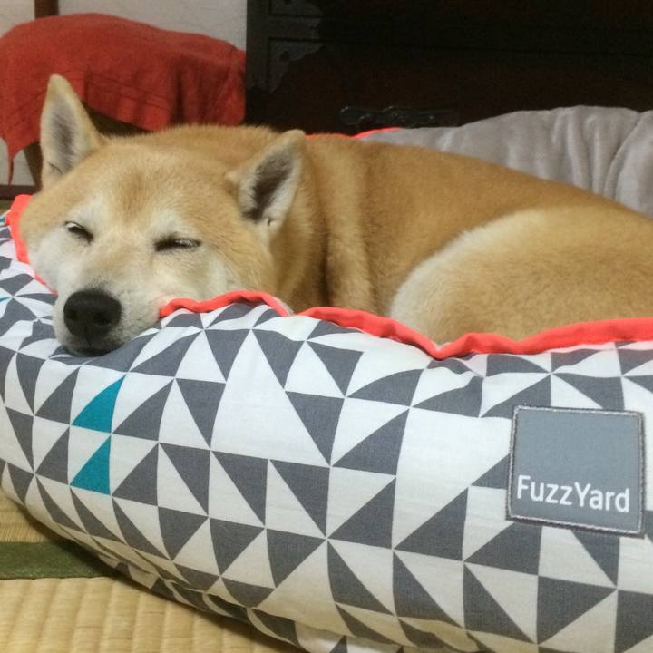 28813f26 65b2 4f9e a533 b2473a4991f5