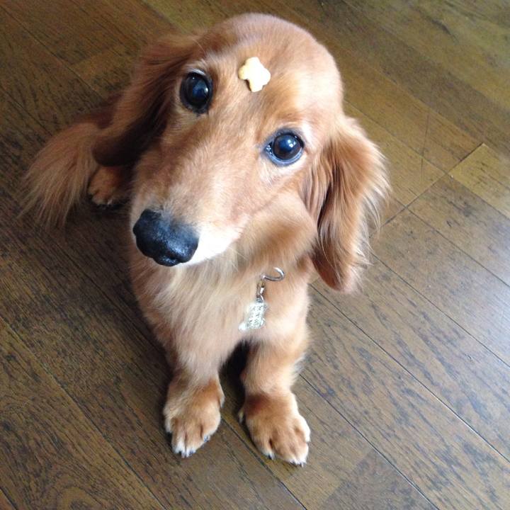 28823414 0ddf 4490 86ae 84e0b5f766d3