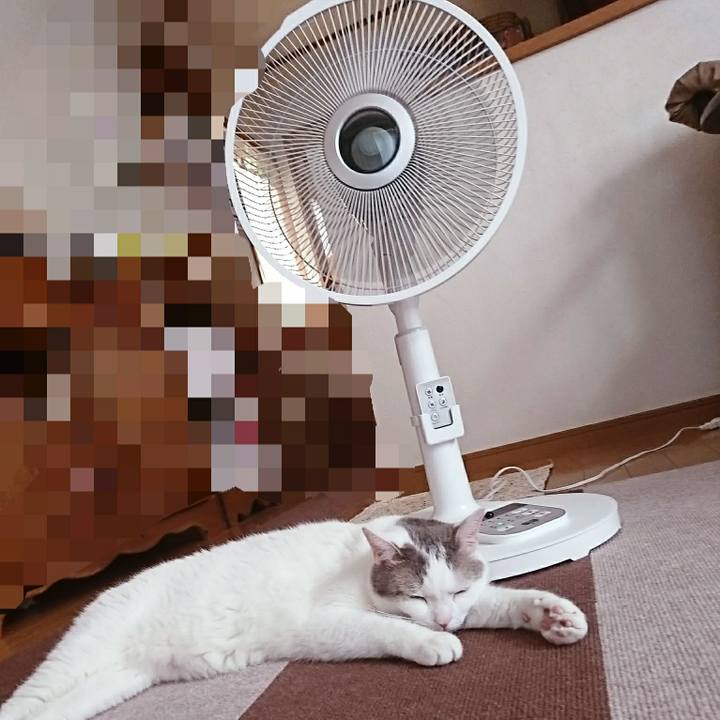 28824eb9 910e 4e39 acad d38d1cc899d7