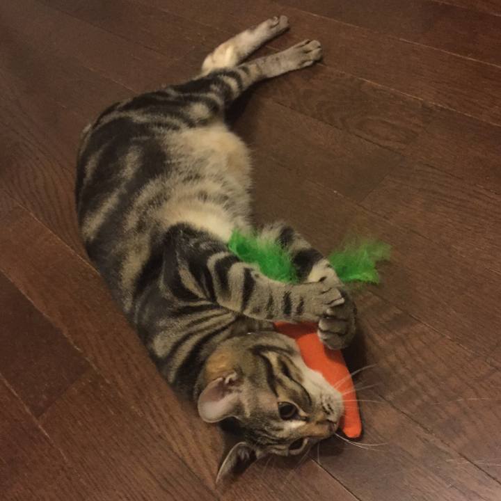 28826b1e 5372 4a35 90a3 45b679e59f48