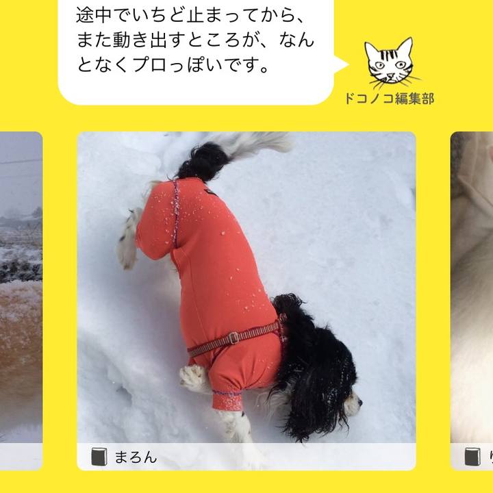 2882f0ac 4376 4803 a7e9 8efe1a93ddee