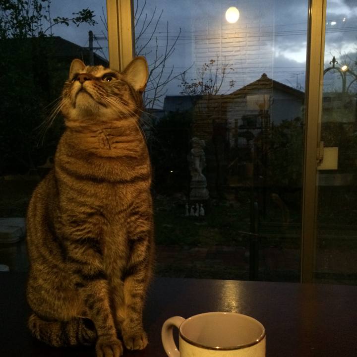 2884270a 3be6 49f6 951e eb1a94e7ea3a