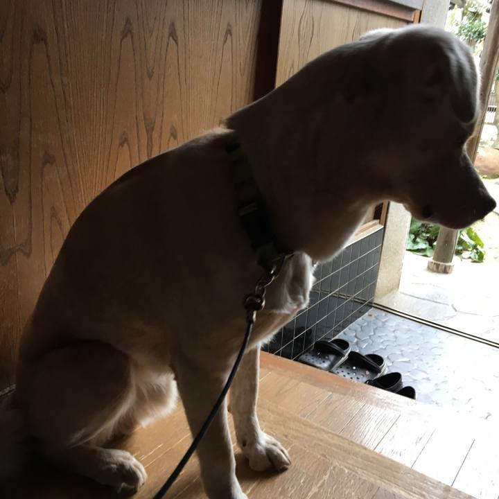 28843d5c 994d 458e 8f62 adbdbb26a237