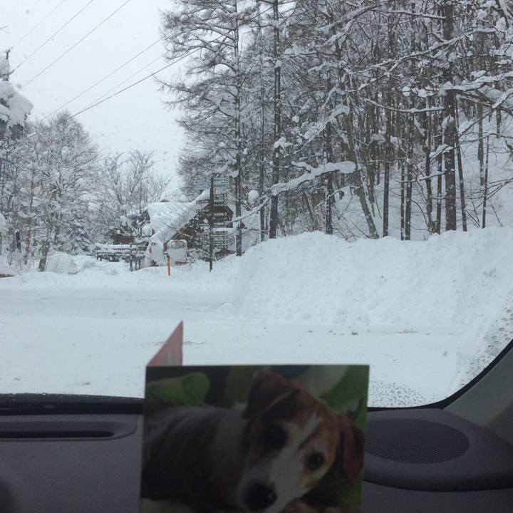 2884c192 7386 4073 90c4 df6bcee0e0b8