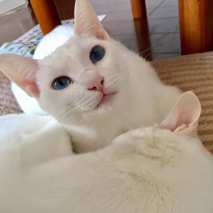 2885f17f 4225 4edc a019 b769de2ea358