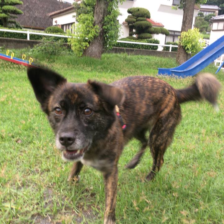 2886fdcc c926 447c ada0 72dcf3fa03ce