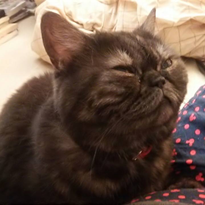 288701d1 b91b 496e 9836 b87a5db705ee