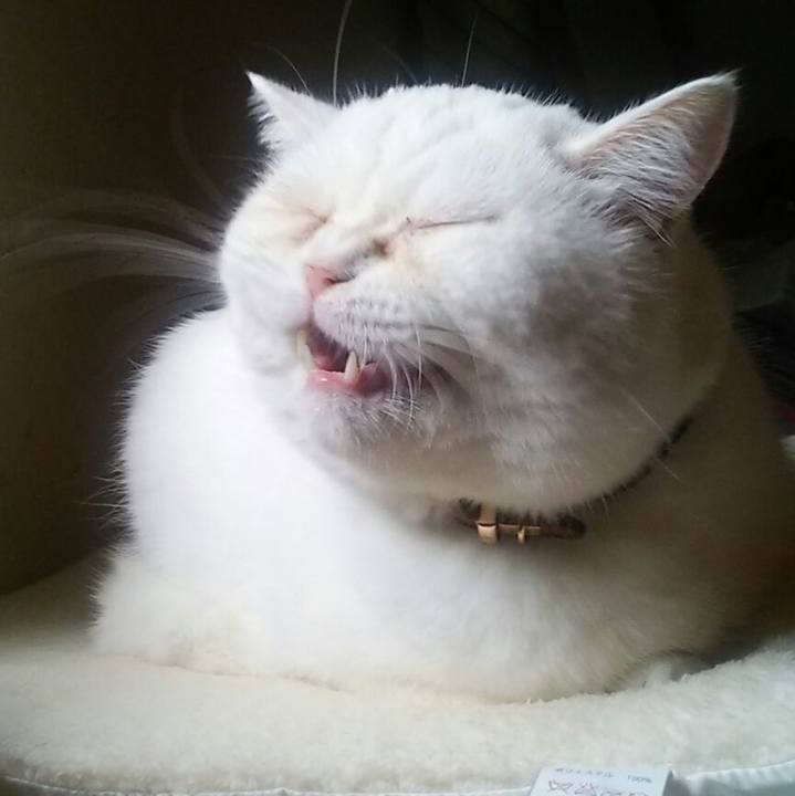 28870971 7357 4b03 9f64 8238f654d98e