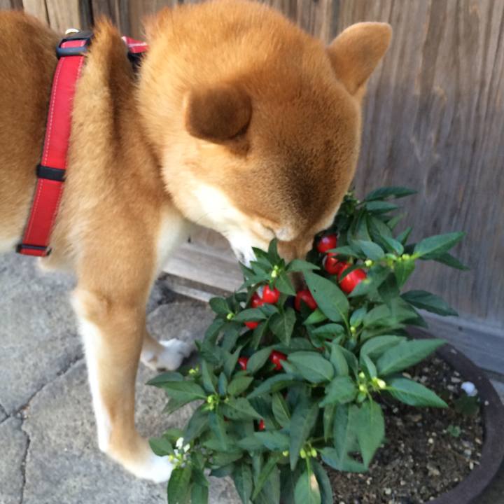 28874e86 c107 4d13 ba81 1a99f67a6b92