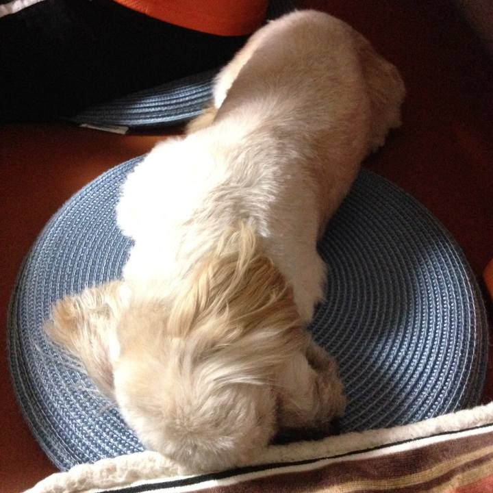 288793de ac1e 44fc 9a51 7c2d2501c9a5