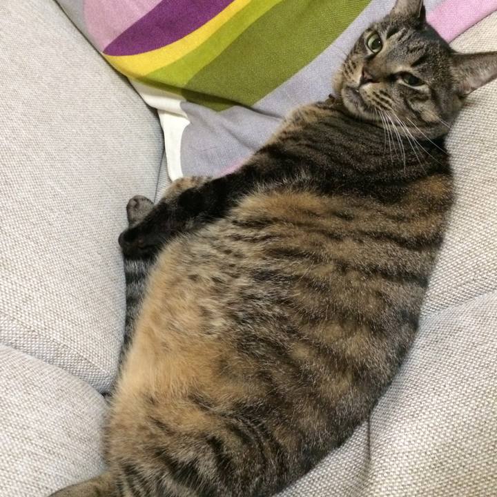 2887d8a4 e505 46c4 9aed 83ffba9faeb9