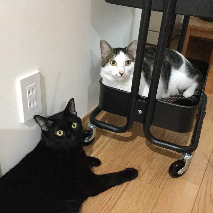 2887f535 d841 4220 ad0e b0e446119aa5