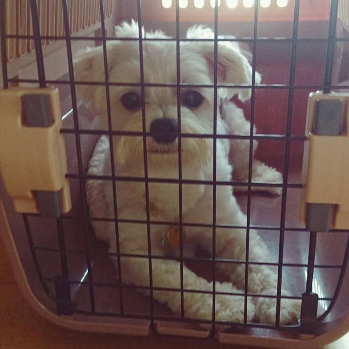 2887f71d 3cd0 41bf 87db d24bfef4c470