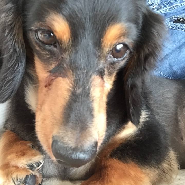 2887f7f5 12d6 40c5 84a9 84cdab155fad