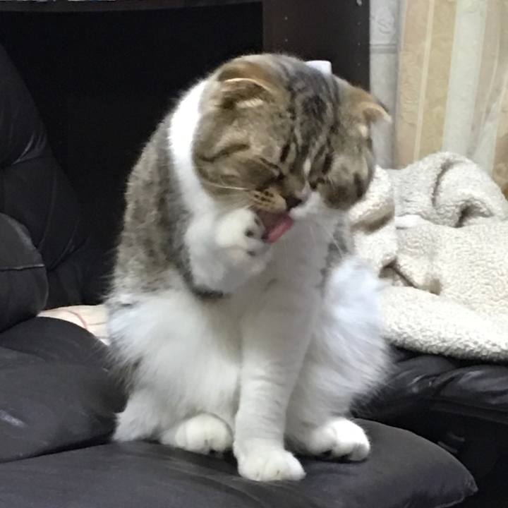 28881264 8ab7 432a a999 644dff4ae56a