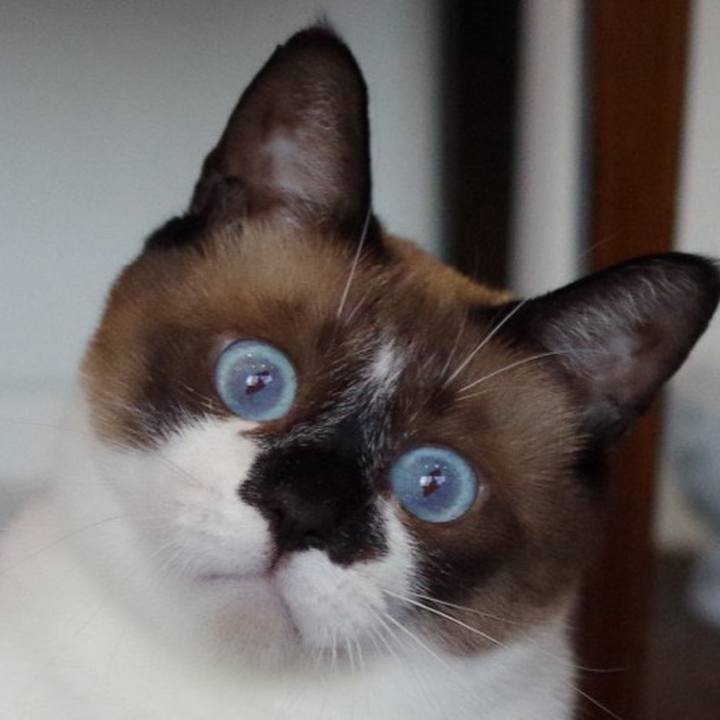 28882558 65bb 4a12 bd56 10b1162a9e41