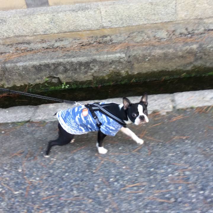 2888559d 36f3 42d3 9e26 6a6c6d2187be