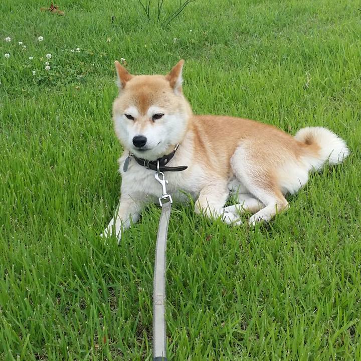 2888bb08 33e8 4b8d 93f8 dfd188a6640d