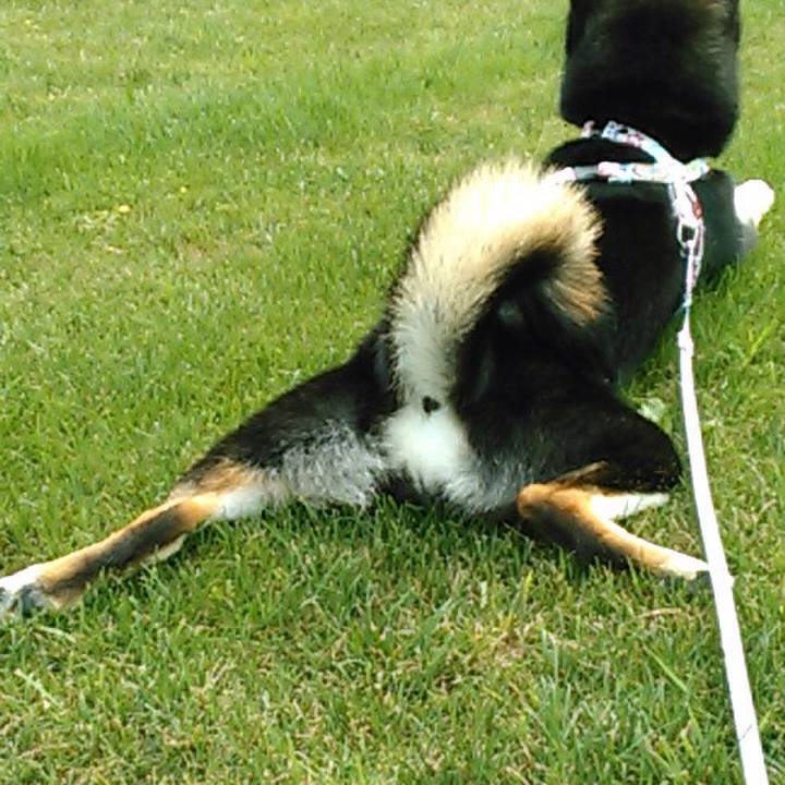 2888bfe7 a173 4597 9f15 e53d543465b2