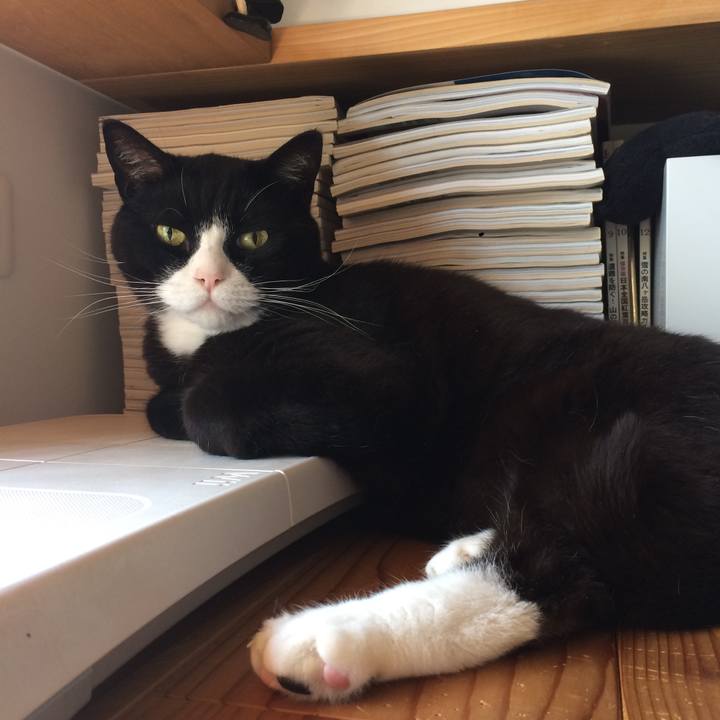 2888dab9 3353 4a66 afc4 d6ba8bce409b