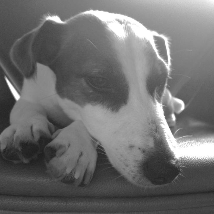 28894215 888a 4f28 b0eb 0309e62b750f