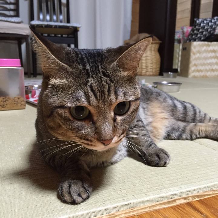 2889d528 2d07 4be1 9934 04de3f71092d