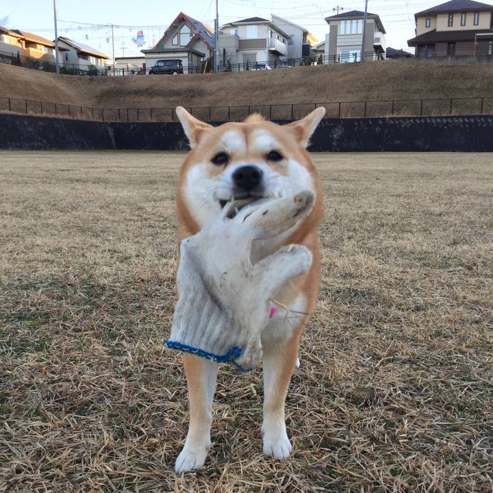 288a6f17 8911 4721 9852 001af2b0cfdf