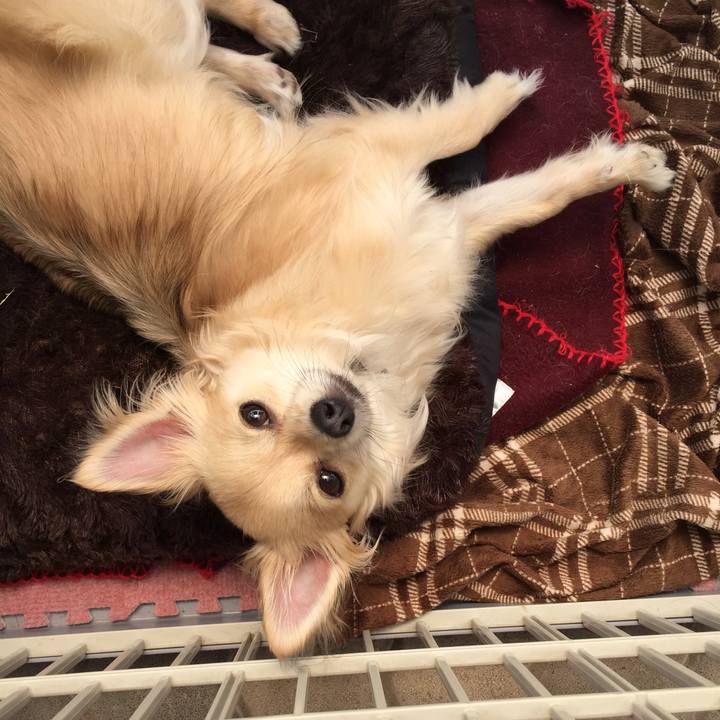 288a9c57 e088 4f15 89ec 1ba545f4be7c