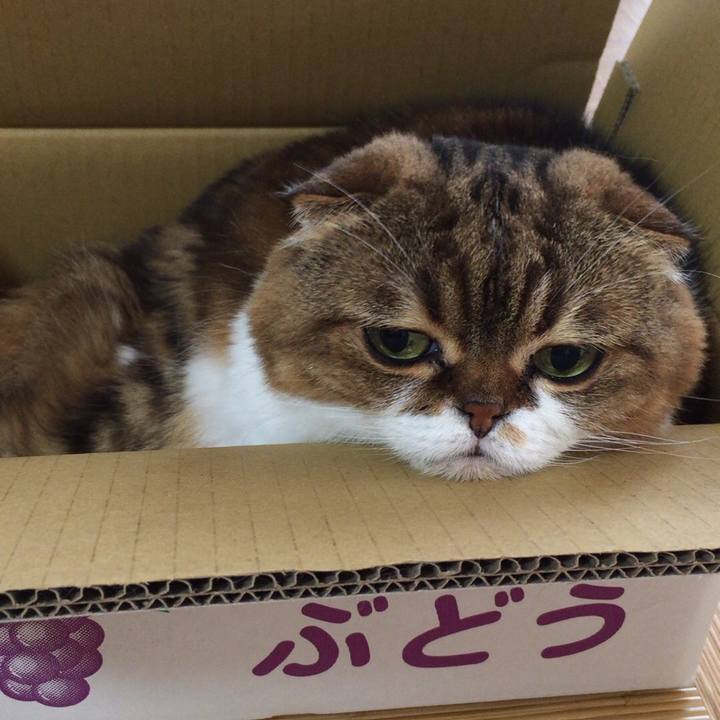 288b67ce cdc9 4184 ab49 9850a8fb9e80