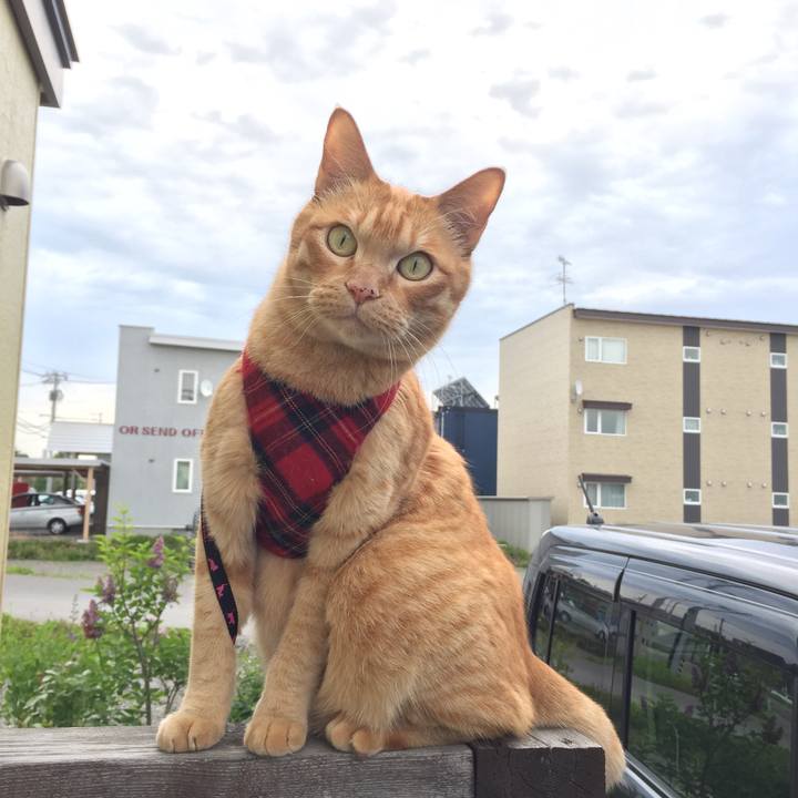 288beee1 d626 4481 97da e190b46fd6c8