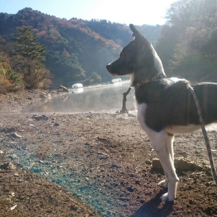 288d208a 7846 482b ae78 a535863f5c42