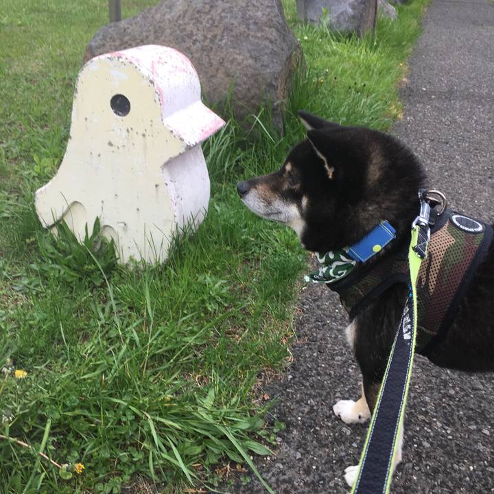 288dca8b 2d6a 4939 830f b9ba47aff570