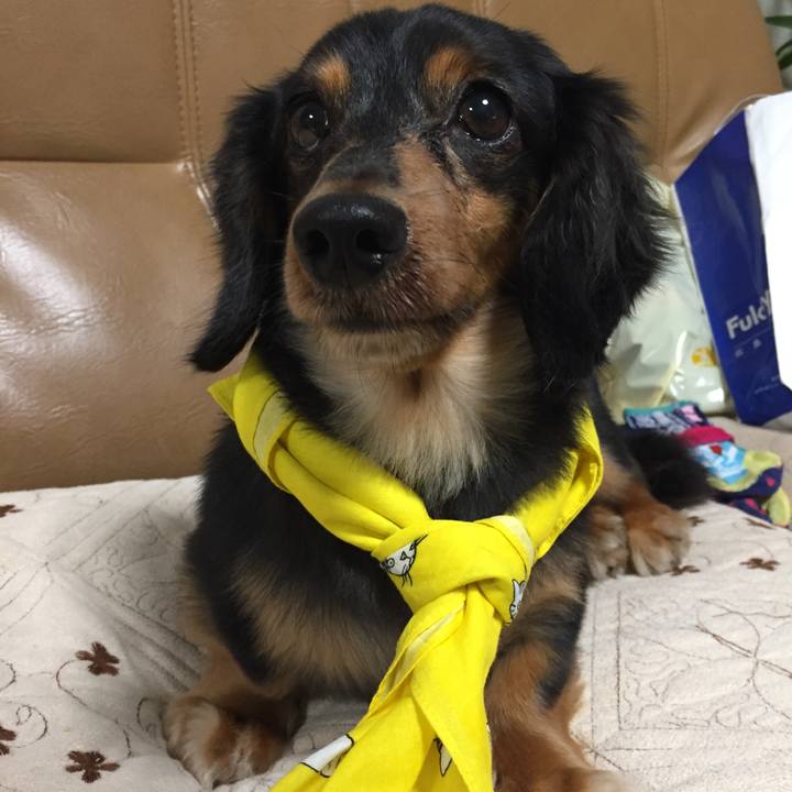 288e0bbe efaa 438b 9e81 34a8fa65a9e0